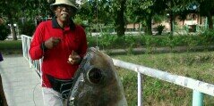 KMPPJOKES's profile banner image