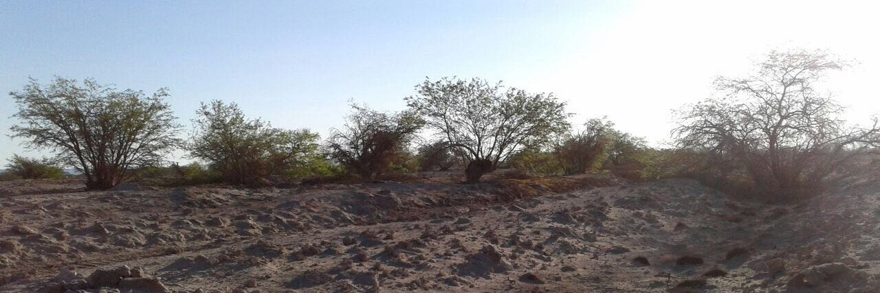 Carlos Piñones banner