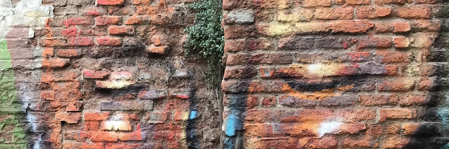 Richard A Boxshall banner