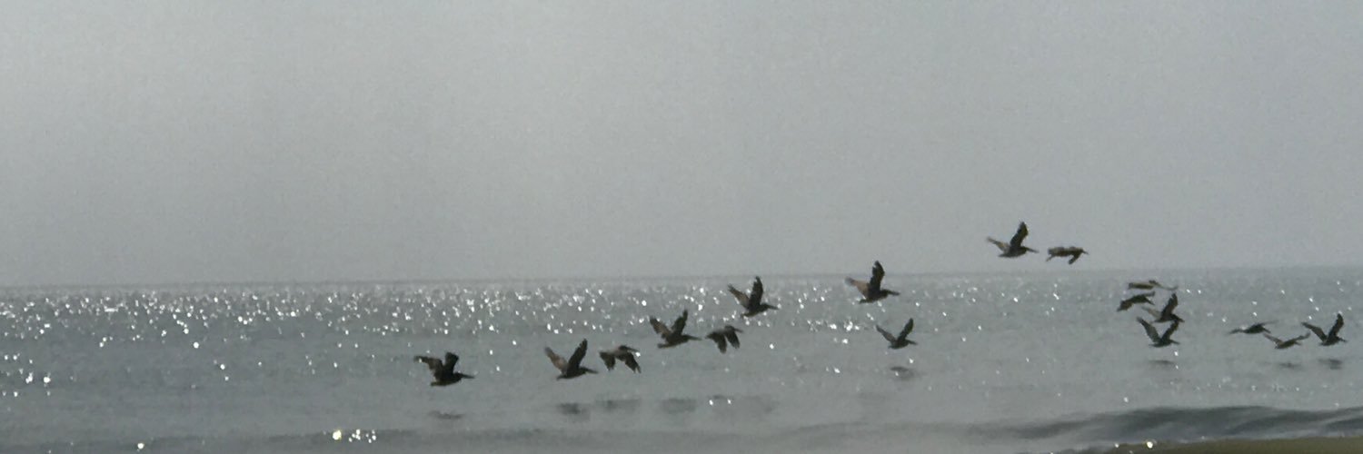 Natie “leave them kids alone” E banner