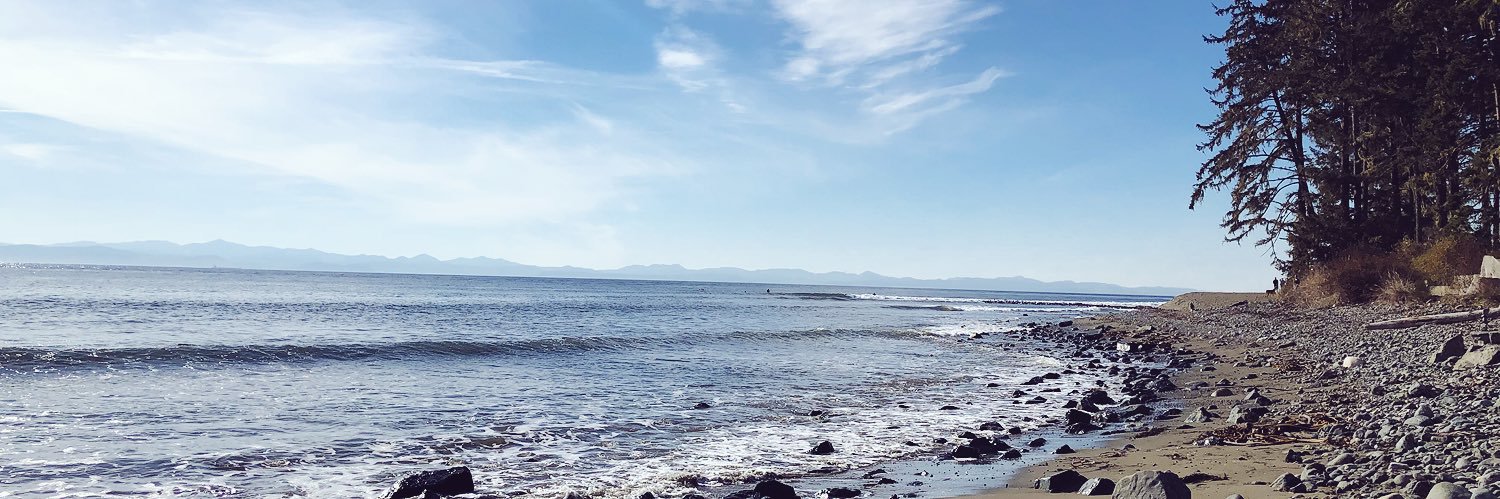 chanellovlin's profile banner image