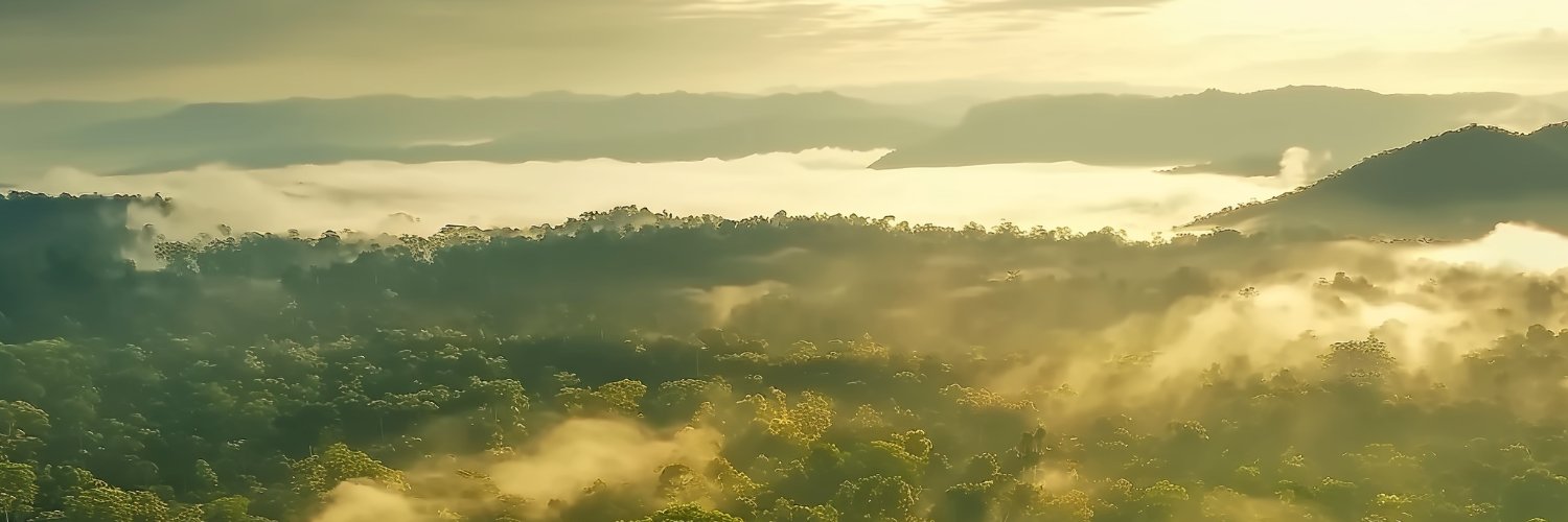 studioselim's profile banner image