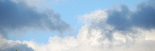 violeta_rei Profile Banner