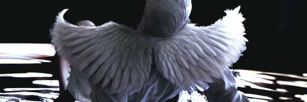 x3nomorphing Profile Banner