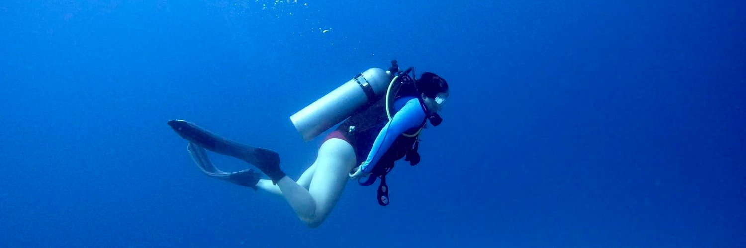 ErinDReilly's profile banner image