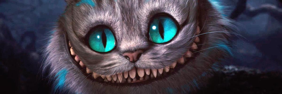 allylynx's profile banner image
