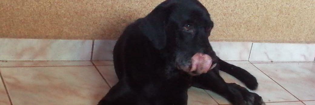 Daniela_cch's profile banner image