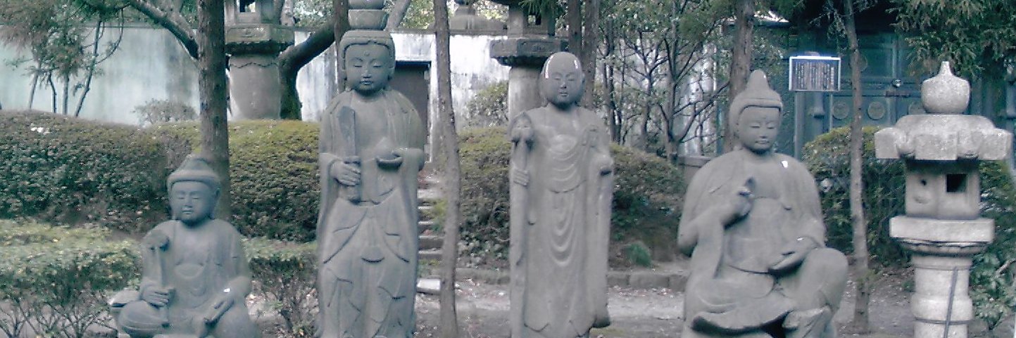 専門学校＆資格 （ライセンス）地域 banner