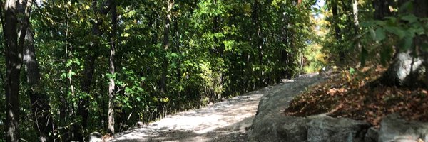 ConorOrr Profile Banner
