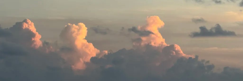 coproliteful's profile banner image