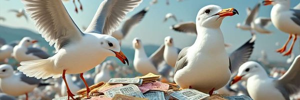 HPRafflePlaza Profile Banner