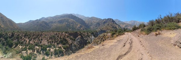 rllullt Profile Banner