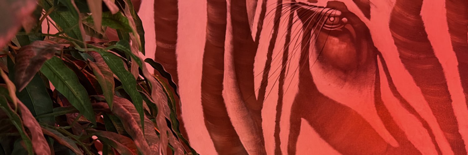 Freya Faith 🏳️‍⚧️'s banner