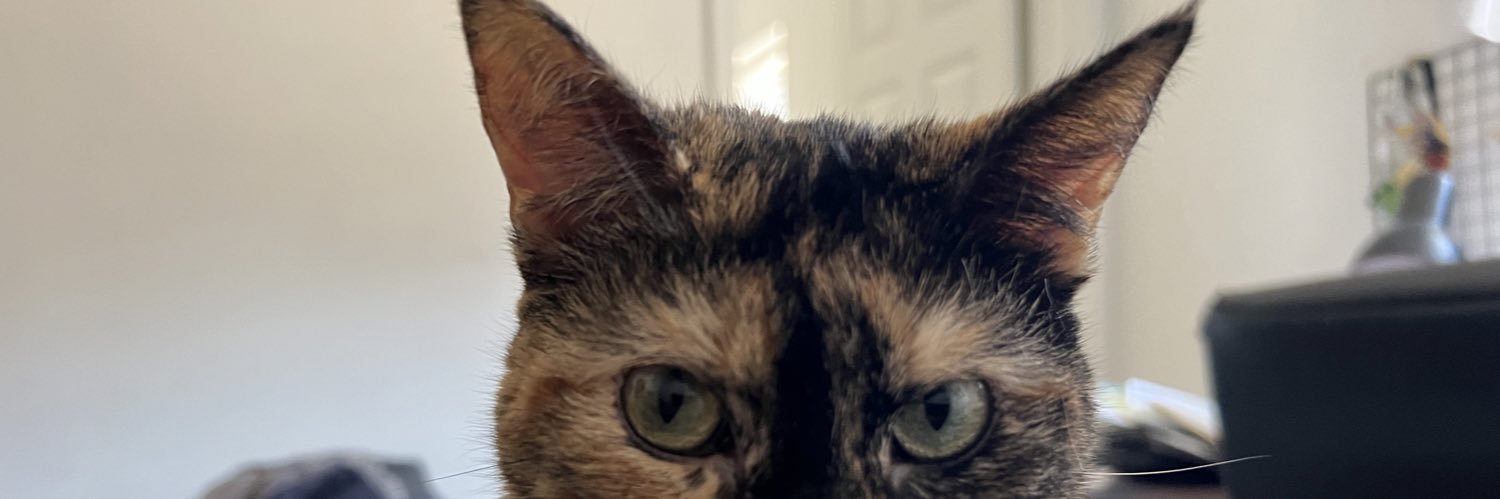 Saul1245's profile banner image