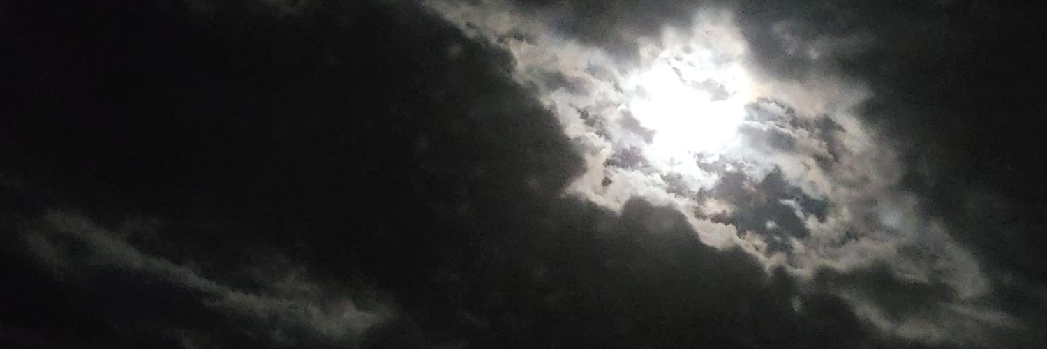 that one guy 🇺🇲 banner