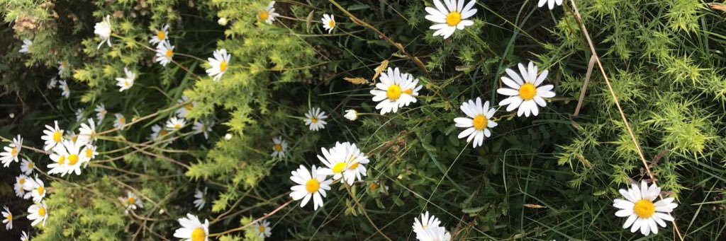 simoneebowenn's profile banner image