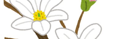 めん☺︎④y🦈④m🐳 banner