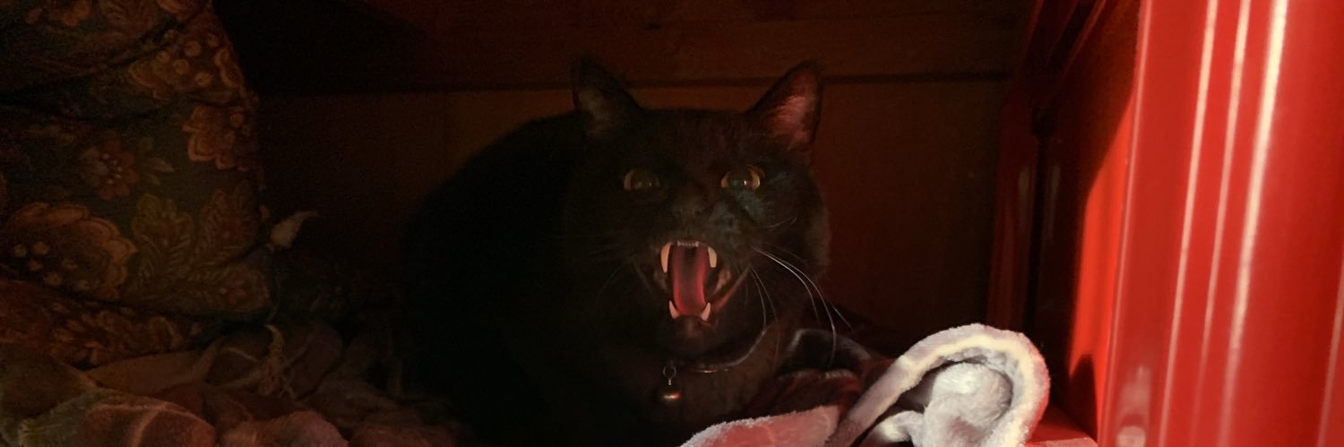 Bombercat31's profile banner image