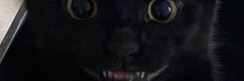 brander___'s profile banner image