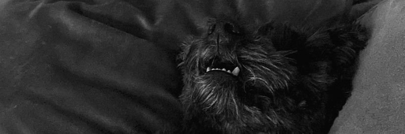 cloudsevenharry's profile banner image