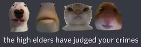 LittleBassSeb's profile banner image