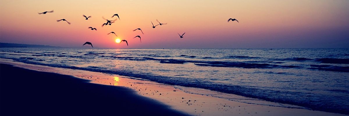 RoFischer_'s profile banner image
