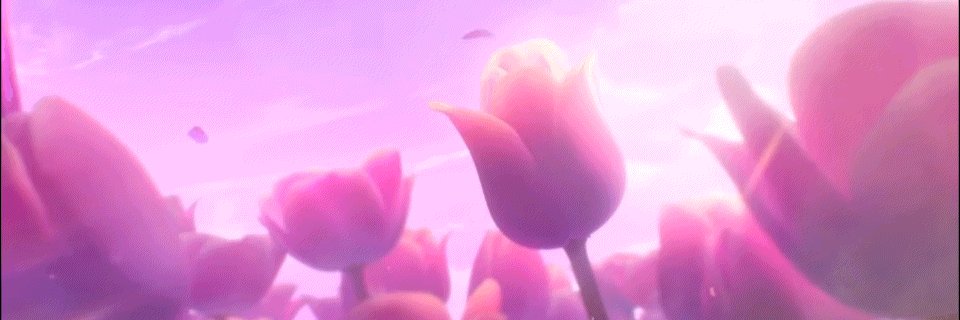 Lia banner