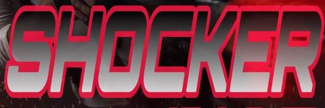 Shockergaming banner