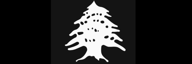 pkoueiky's profile banner image