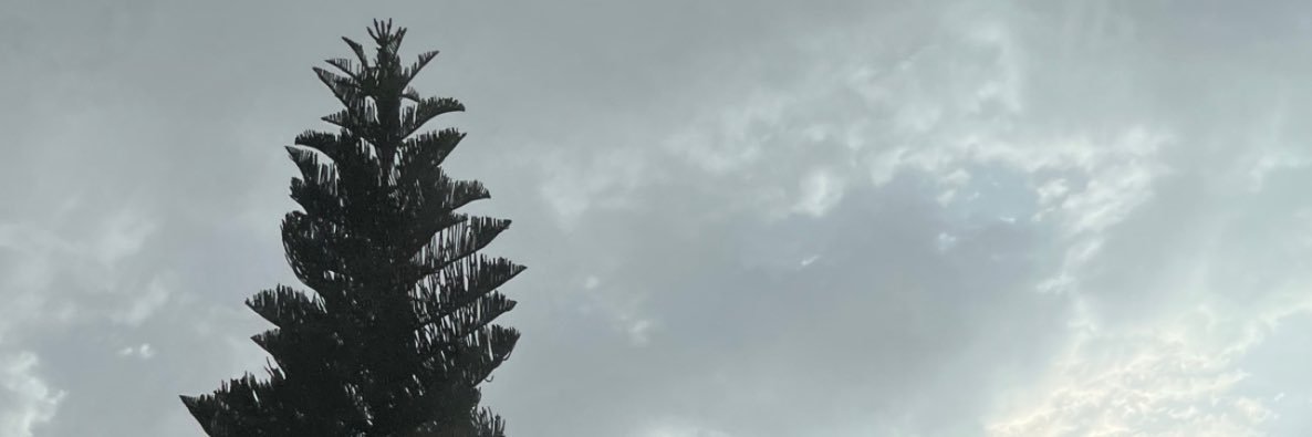AlhamraniHanan's profile banner image