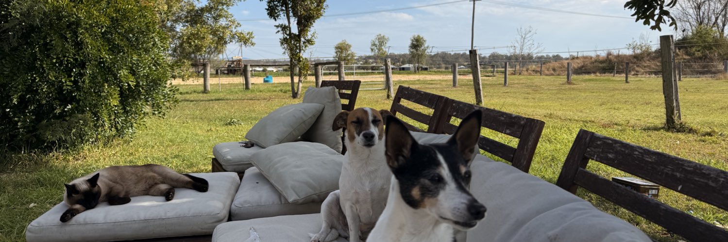 Dickie | Value Investor banner