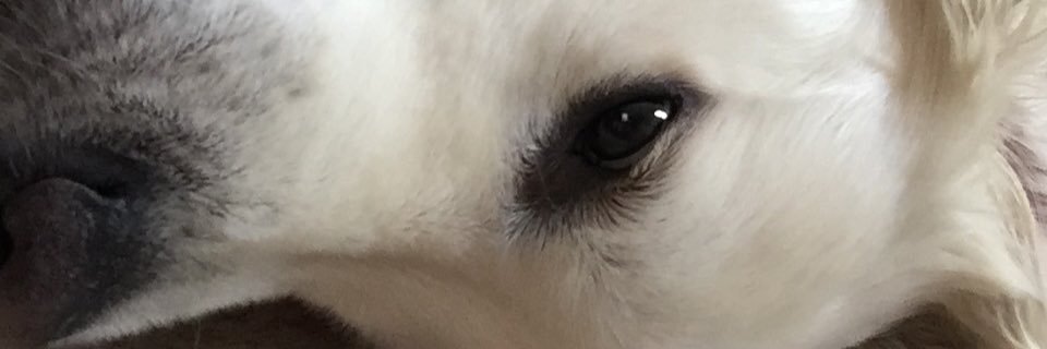 tmy829's profile banner image