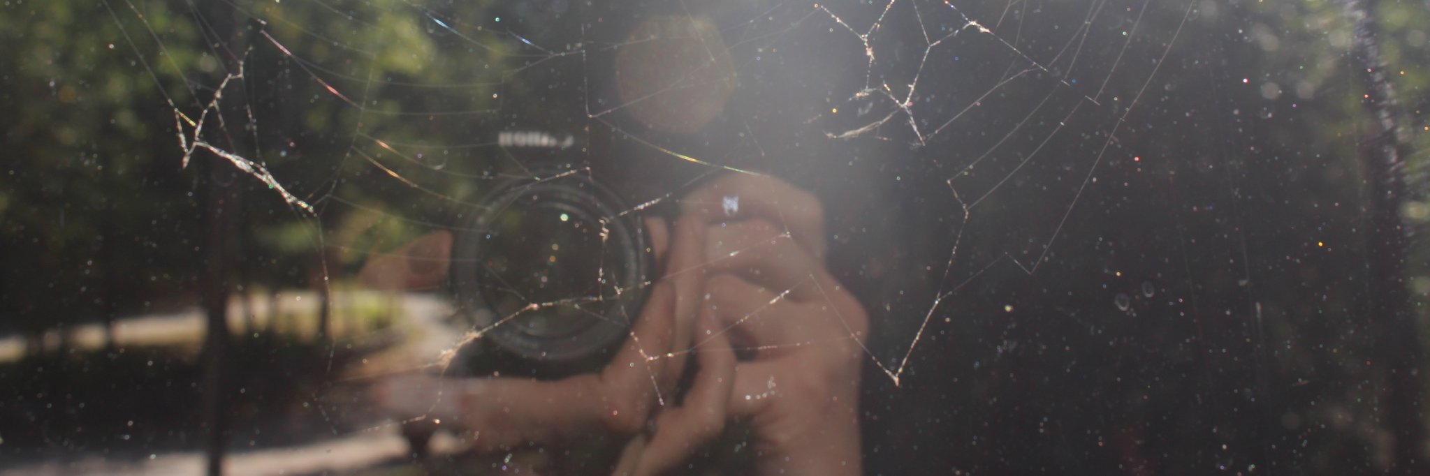 erfloewen's profile banner image