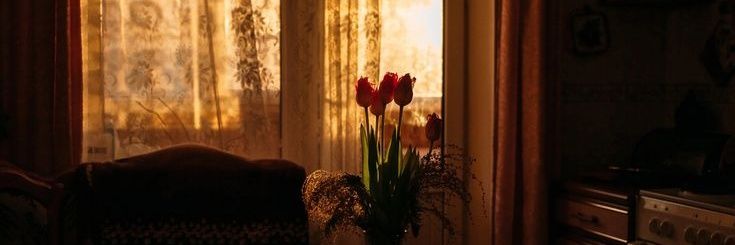 ২ 𝗇ies²⁵ ֶָ֢ banner