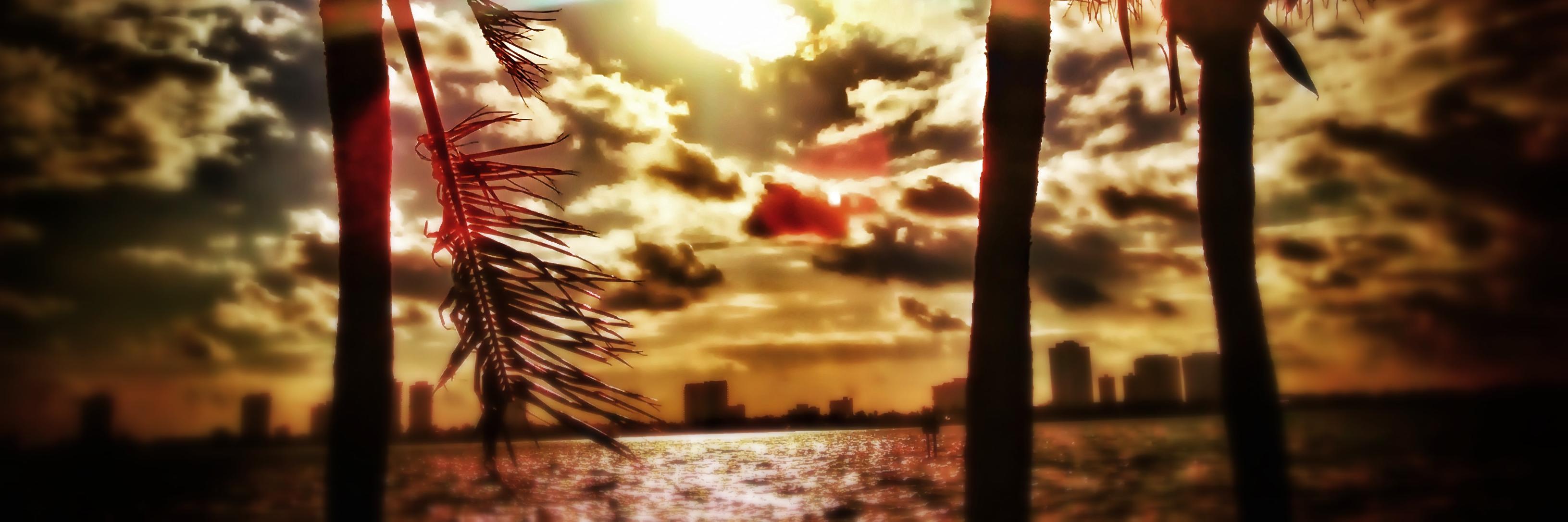 seanobeach's profile banner image