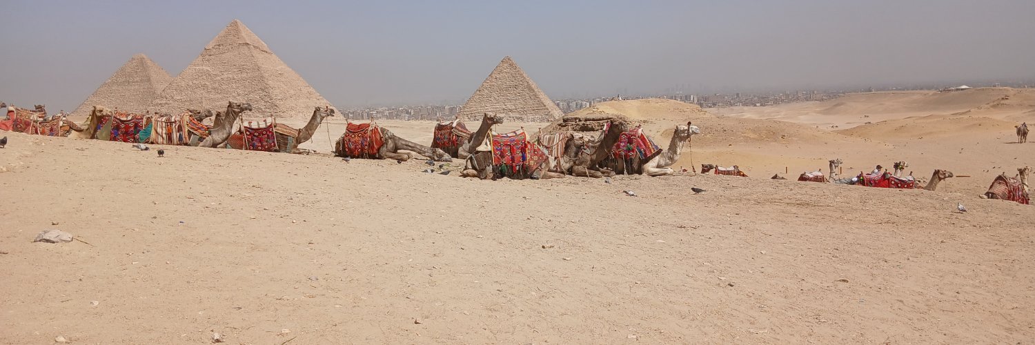 Fabrizio Motta banner