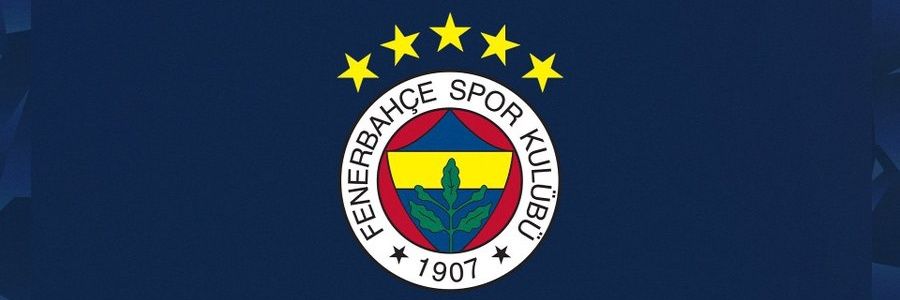 elinadamiyim's profile banner image
