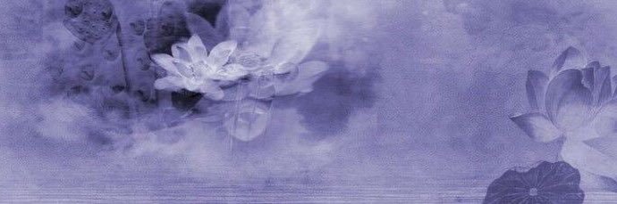 nat ⊹'s banner