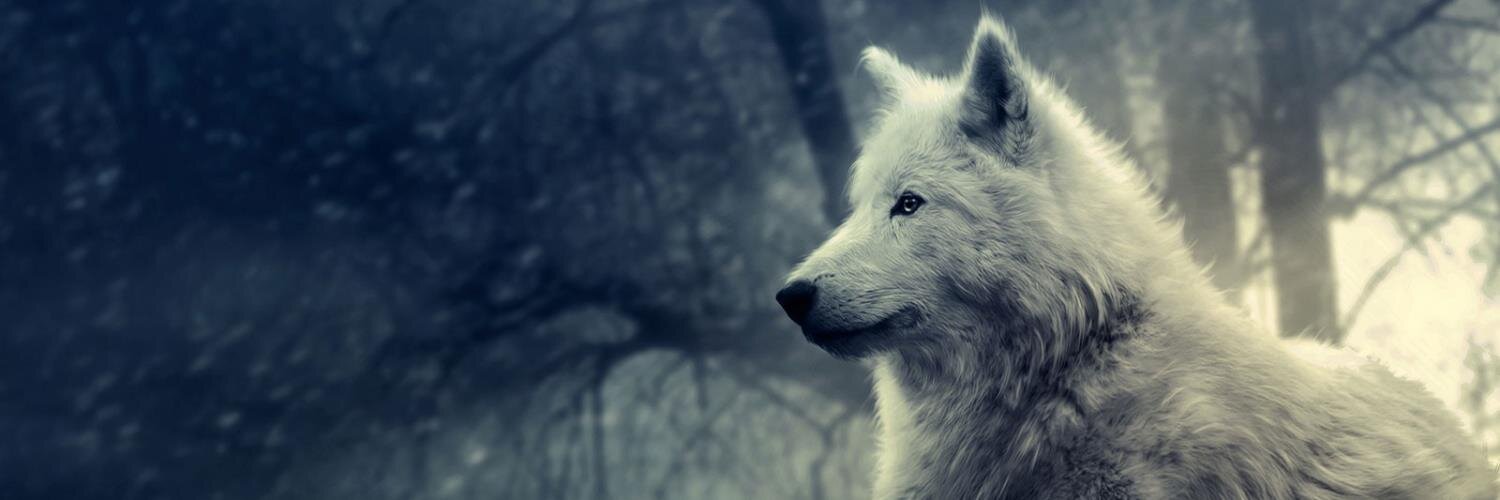 Javipvd's profile banner image