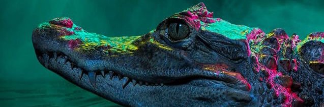 _jucema_'s profile banner image