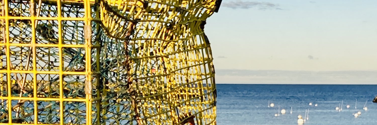 cgrosse's profile banner image