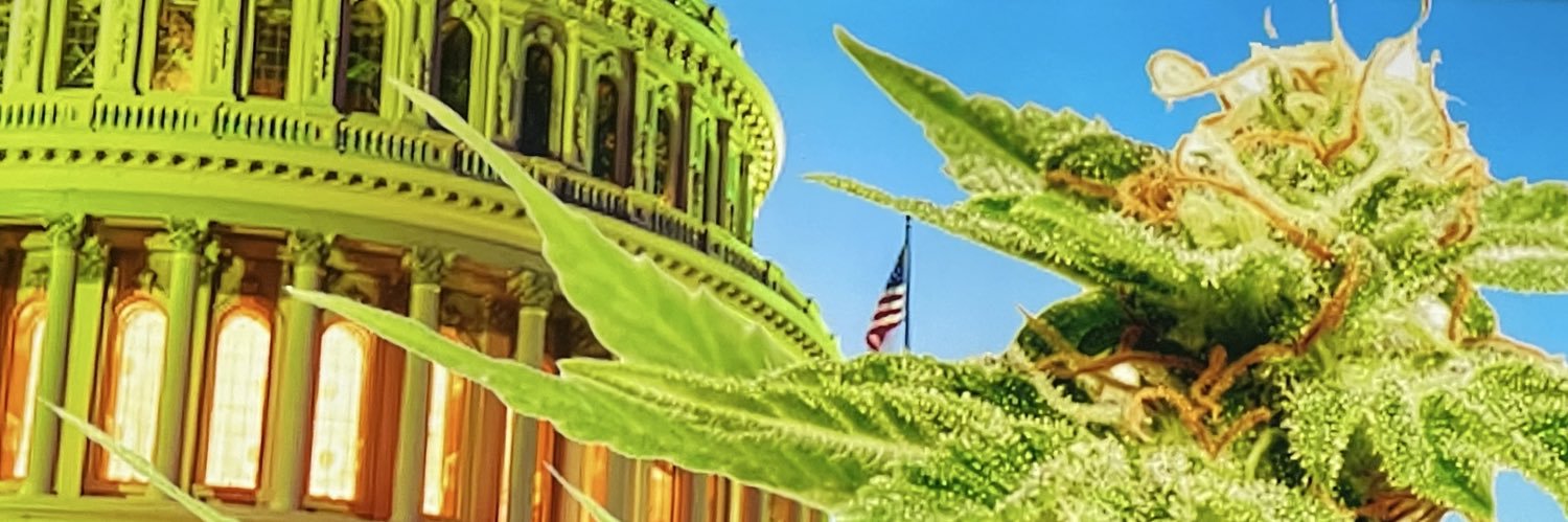 BullRunner13's profile banner image