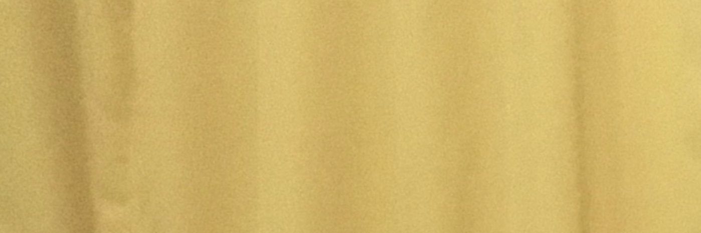 iceseeca's profile banner image
