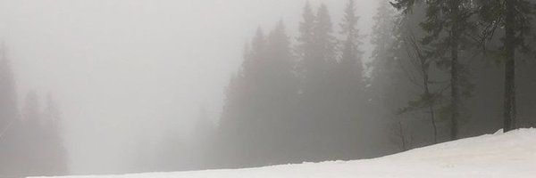 homoph0ebe Profile Banner