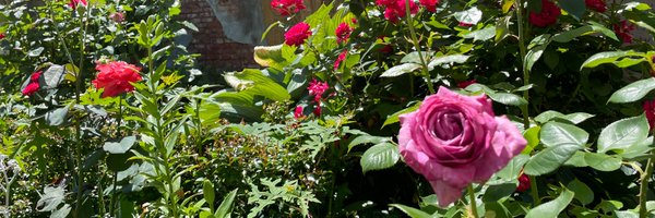 NYC Parks GreenThumb Profile Banner