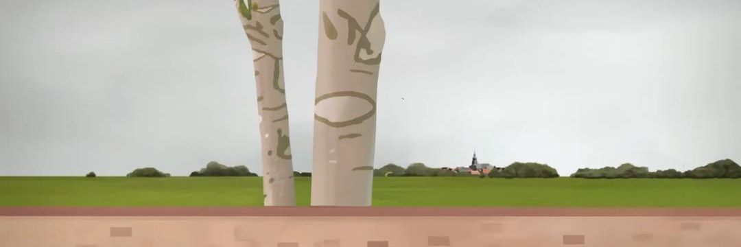 Tomsson banner