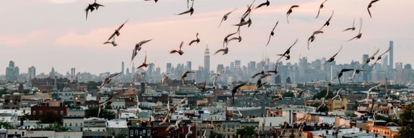 BushwickDaily Profile Banner