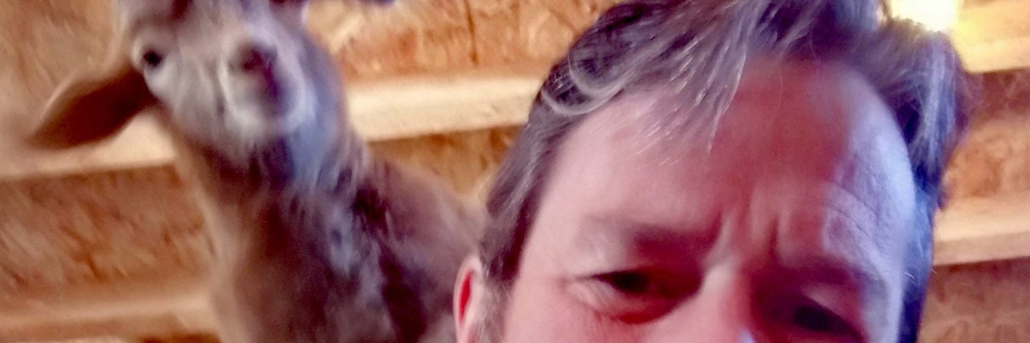 Mennier's profile banner image