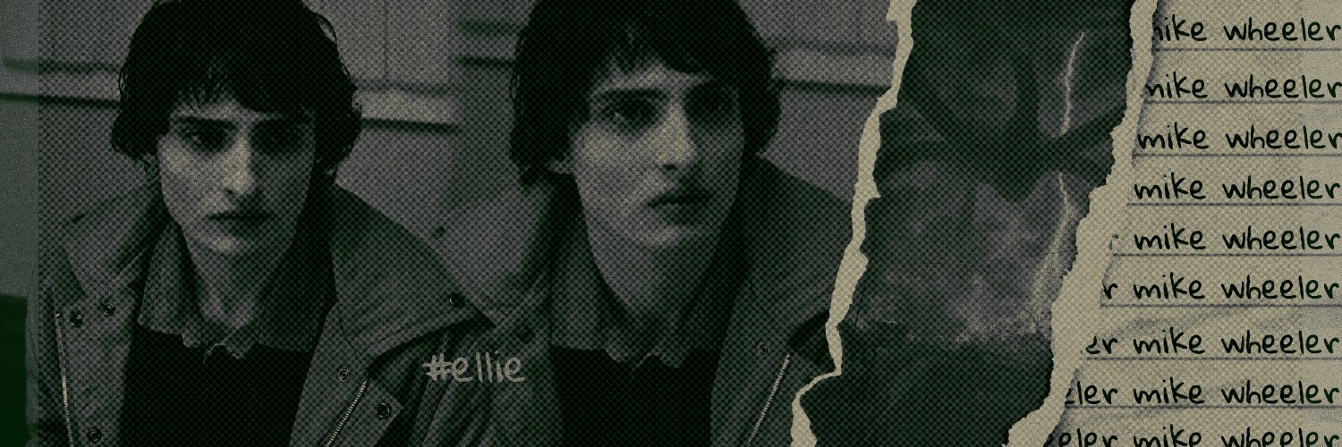 𝐓𝓱𝑒 ︎ ︎ ⚔️ ︎ ︎ #⃝ρ𝐚ᒪ𝐚ᗪ𝕀ภ banner