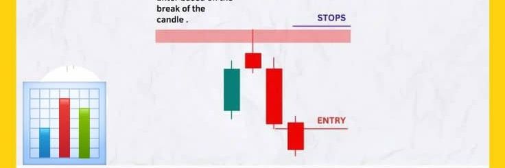 FOREX FREE SIGNAL banner